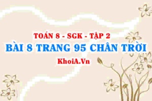 Bài 8 trang 95 Toán 8 Chân trời sáng tạo Tập 2